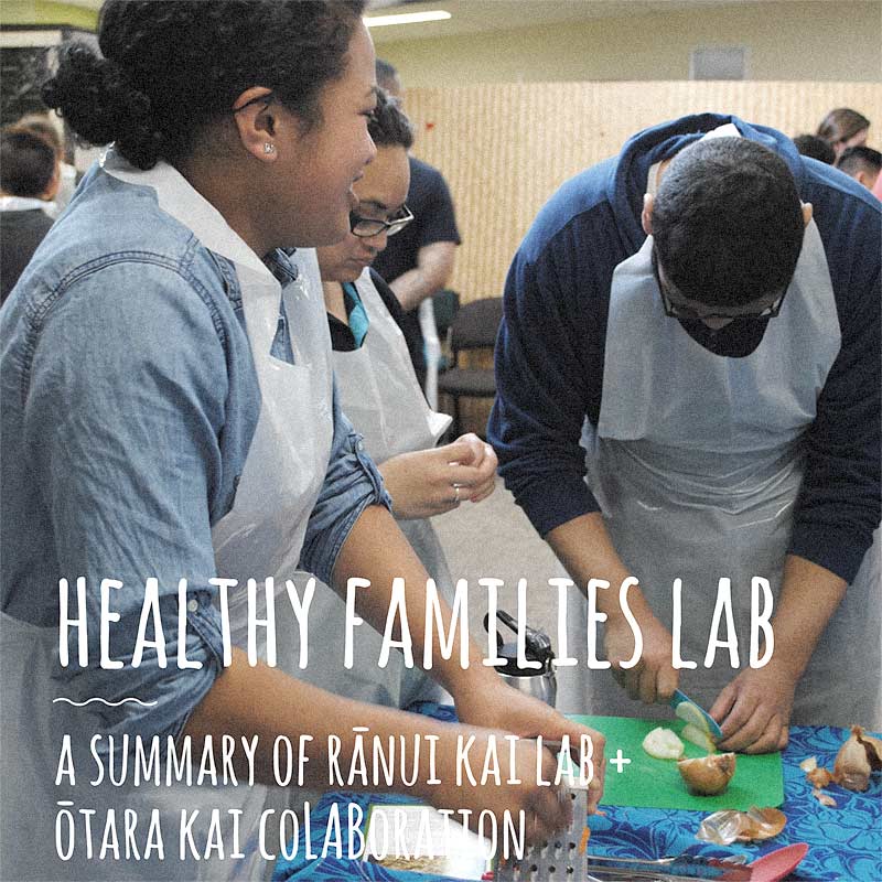 Healthy Families Lab Summary Document cover image