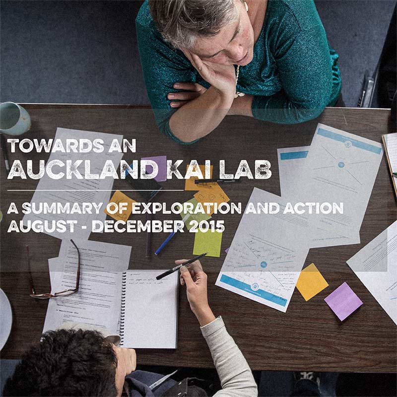 Auckland Kai Lab Summary Document cover image