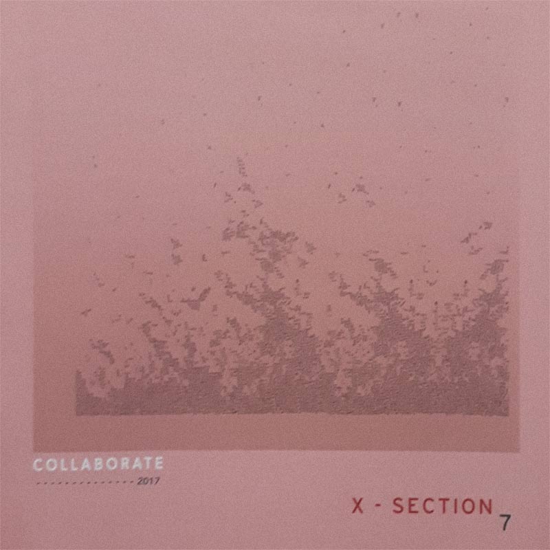X-Section 2017 cover image